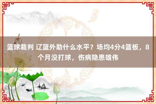 篮球裁判 辽篮外助什么水平？场均4分4篮板，8个月没打球，伤病隐患雄伟