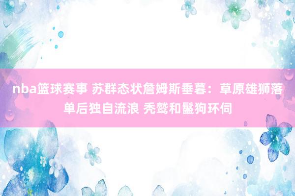 nba篮球赛事 苏群态状詹姆斯垂暮：草原雄狮落单后独自流浪 秃鹫和鬣狗环伺