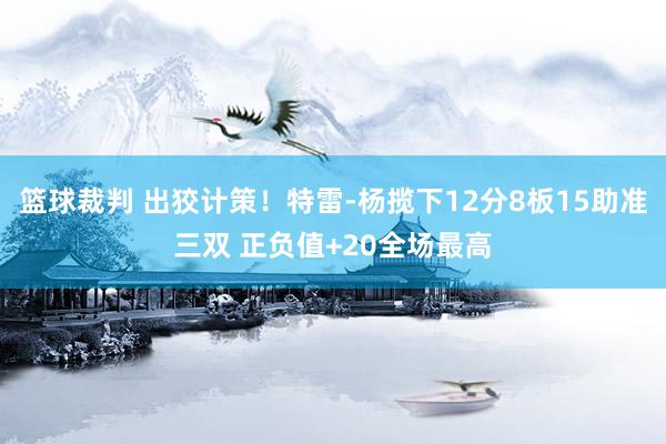 篮球裁判 出狡计策！特雷-杨揽下12分8板15助准三双 正负值+20全场最高